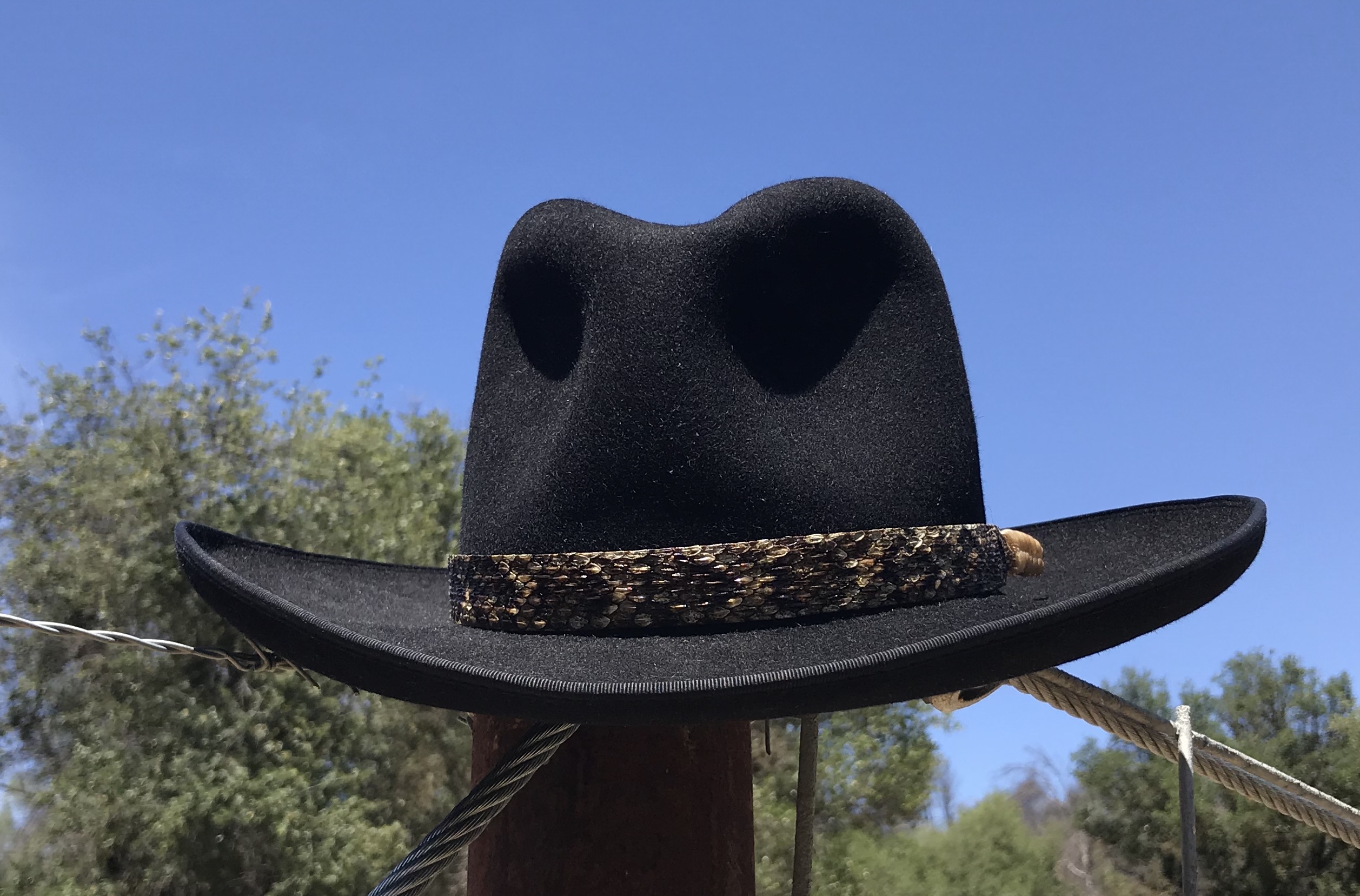 Genuine Rattlesnake Hat band with rattle.