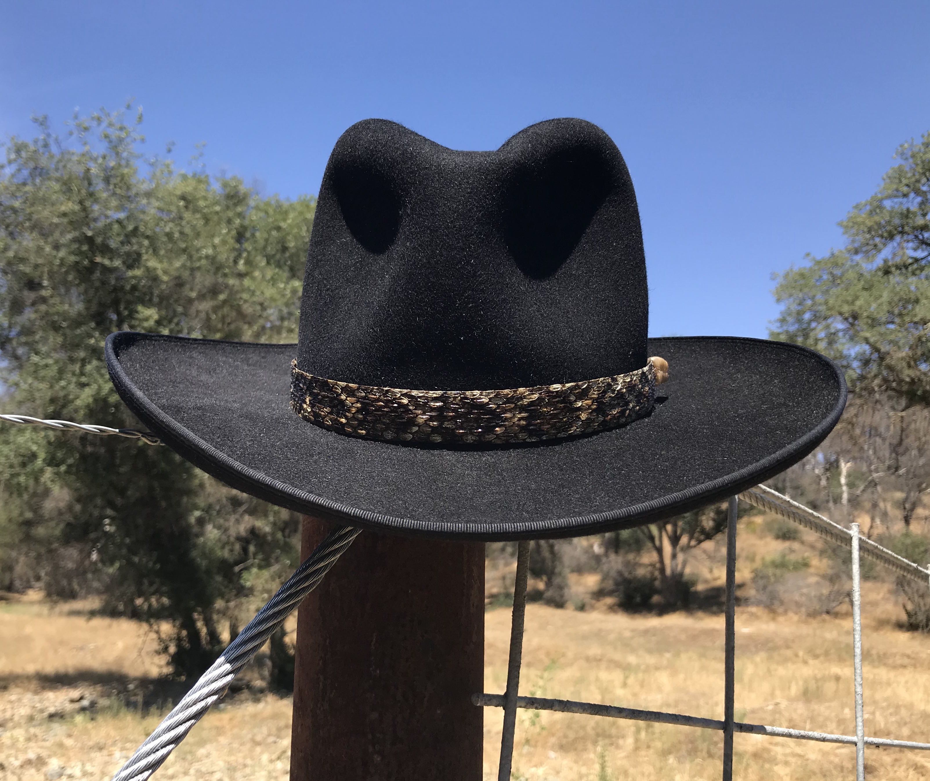 Snakeskin hat hot sale band