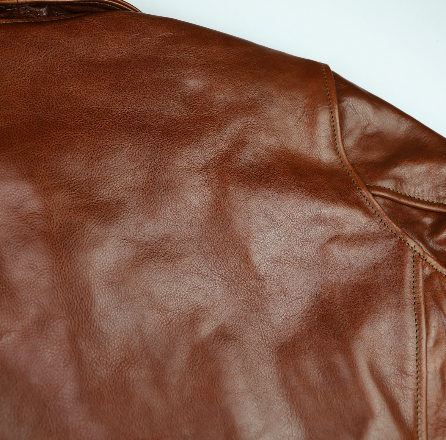 Aero Plainsman Russet Badalassi Cowhide upper back.jpg