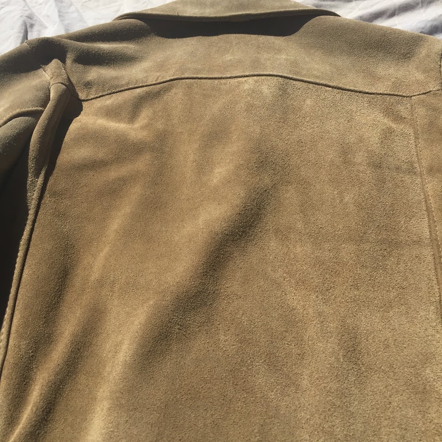 Back Panel Suede View.JPG