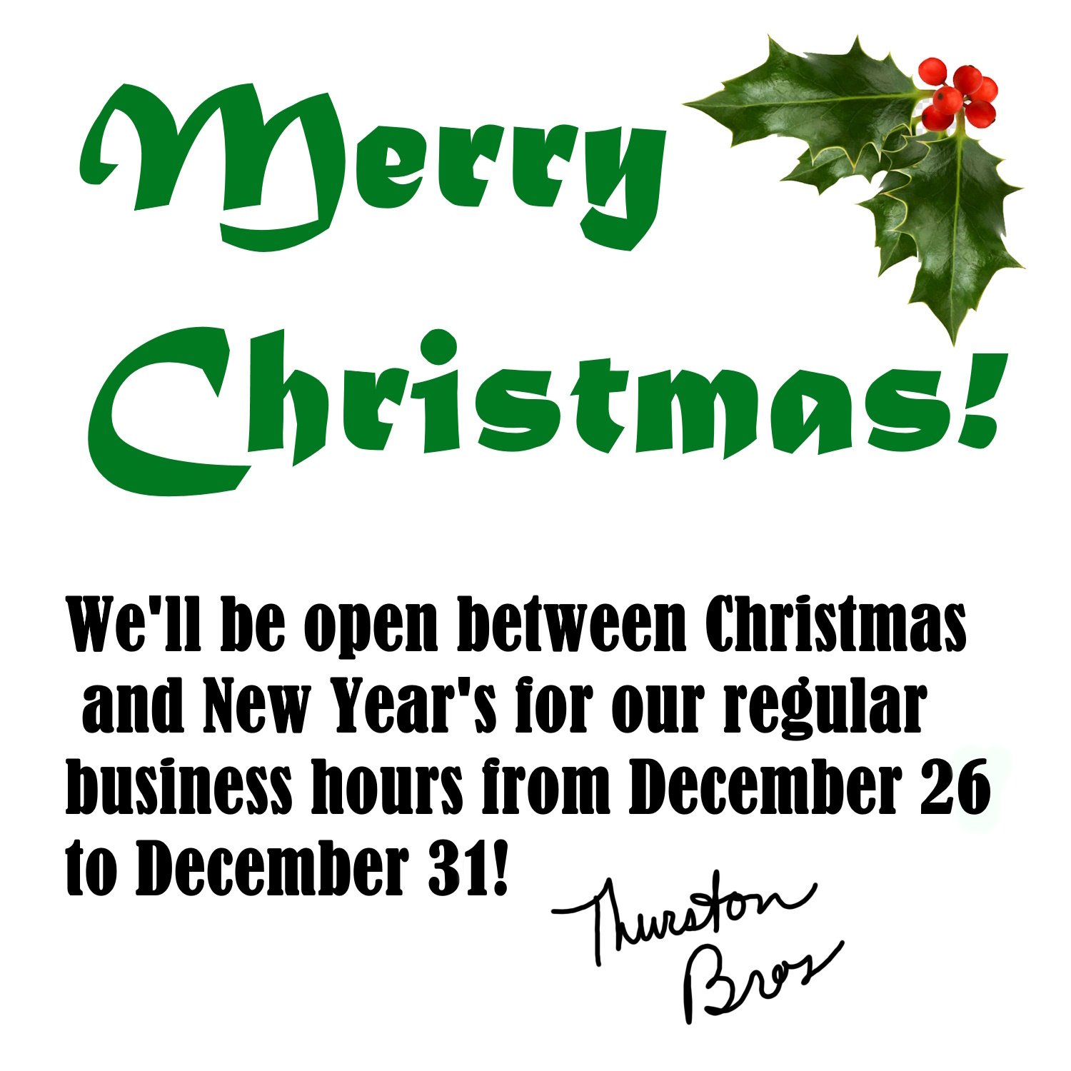 Christmas greeting and business hours version 2 Dec 31.jpg