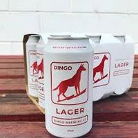 Dingo Lager.png