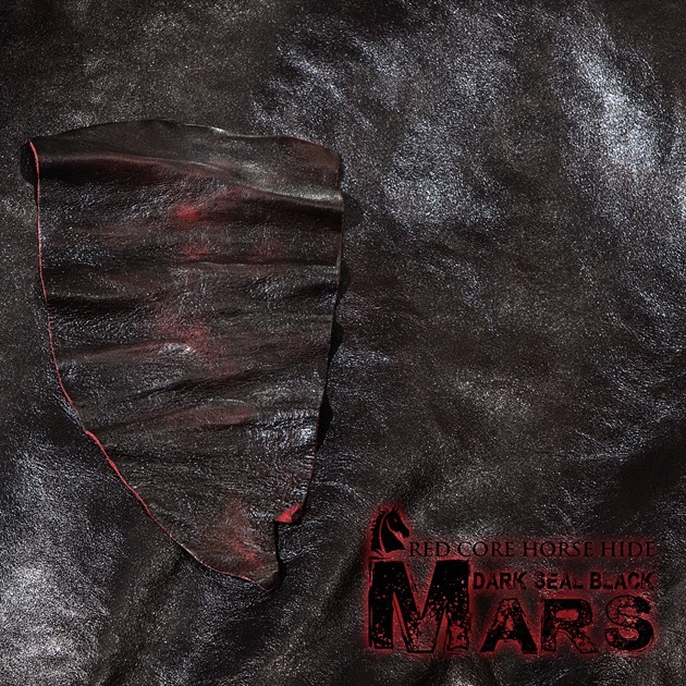 Mars Leather.jpg