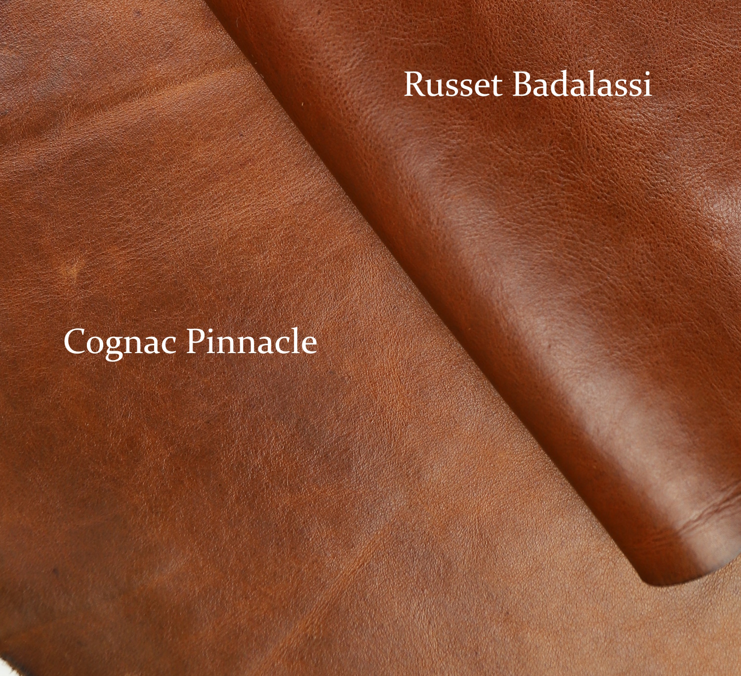 Russet Badalassi and Cognac Pinnacle 2.jpg