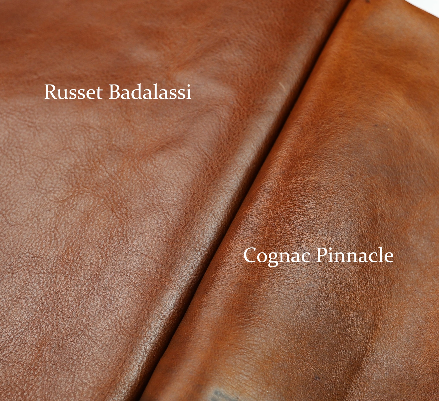 Russet Badalassi and Cognac Pinnacle.jpg