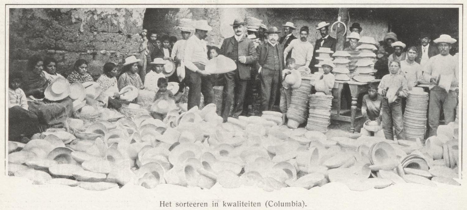 sorting panamahats in Ecuador.jpg