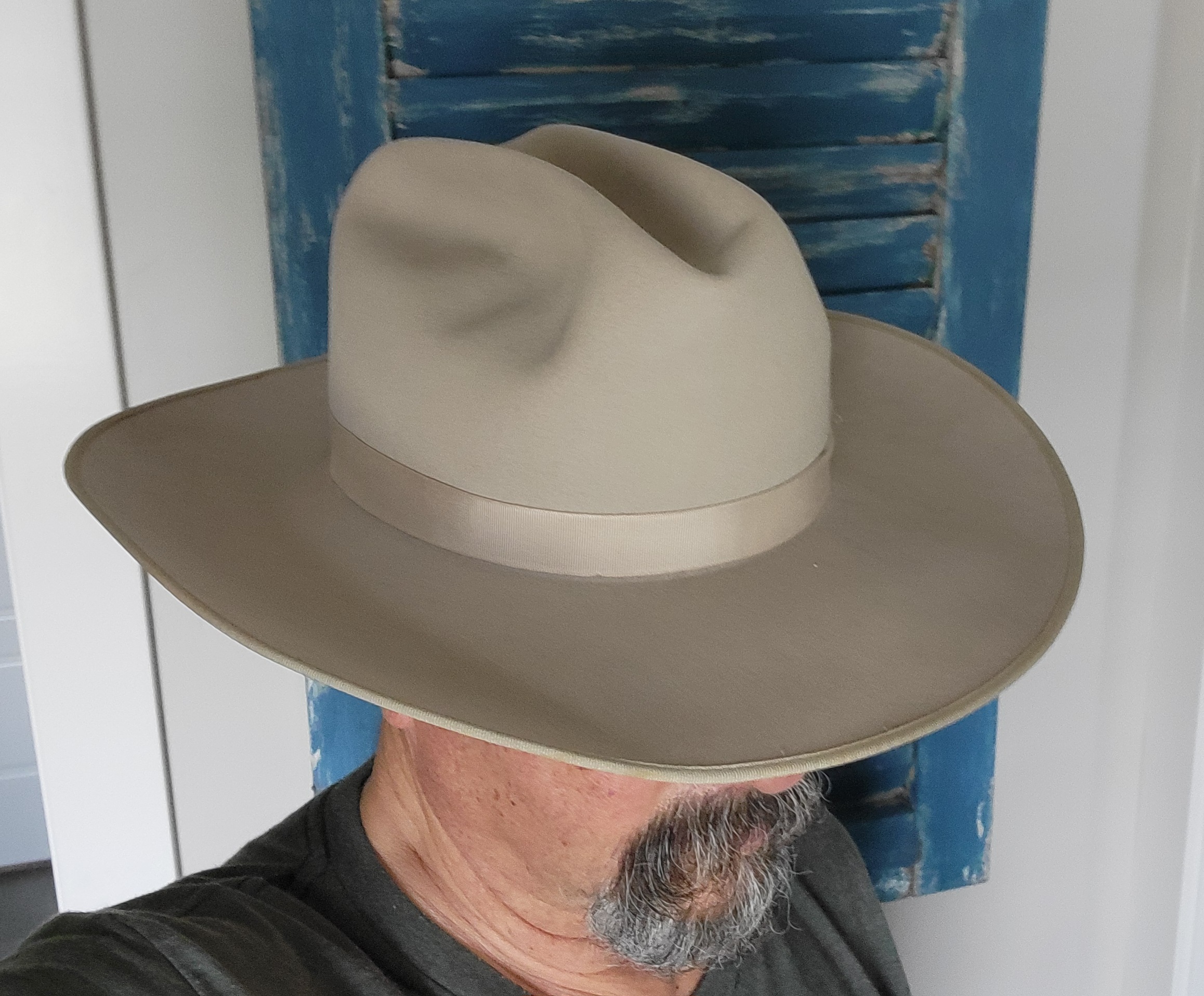 Stetson Longhorn c.jpg