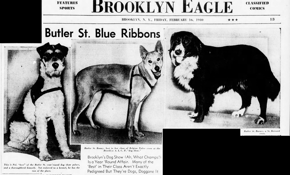 The_Brooklyn_Daily_Eagle_Fri__Feb_16__1940_ (3).jpg