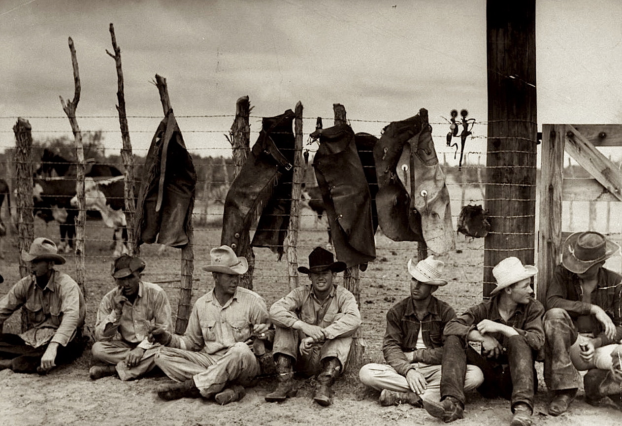 vintage-cowboy-denim-chaps.jpg