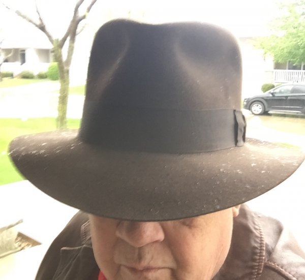 Hat-Akubra-FED IV-Drk Brn wet.jpg