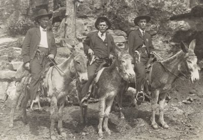 donkey_police_circa_1910.JPG