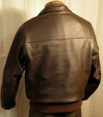 Stratoliner with a leather collar 2.jpg