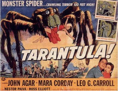 tarantula.jpg