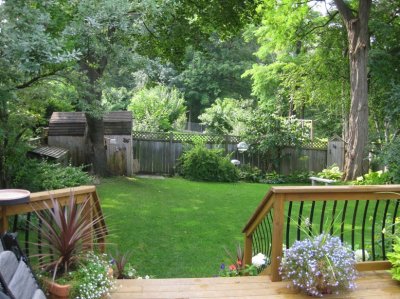 BackYard2.JPG