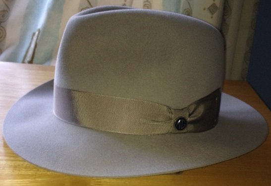 fedora silverbelly 006.JPG