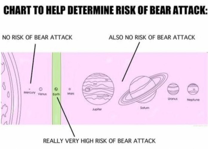 risk of bear attack.jpg