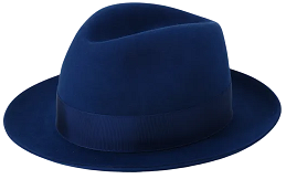 blue fedora.png