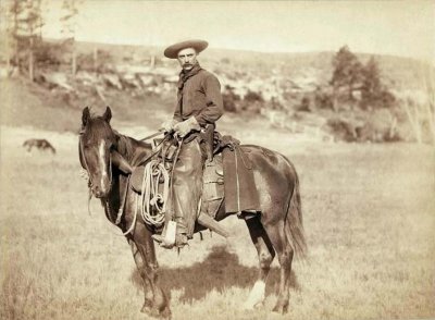 Cowboy.1887.ws.jpg